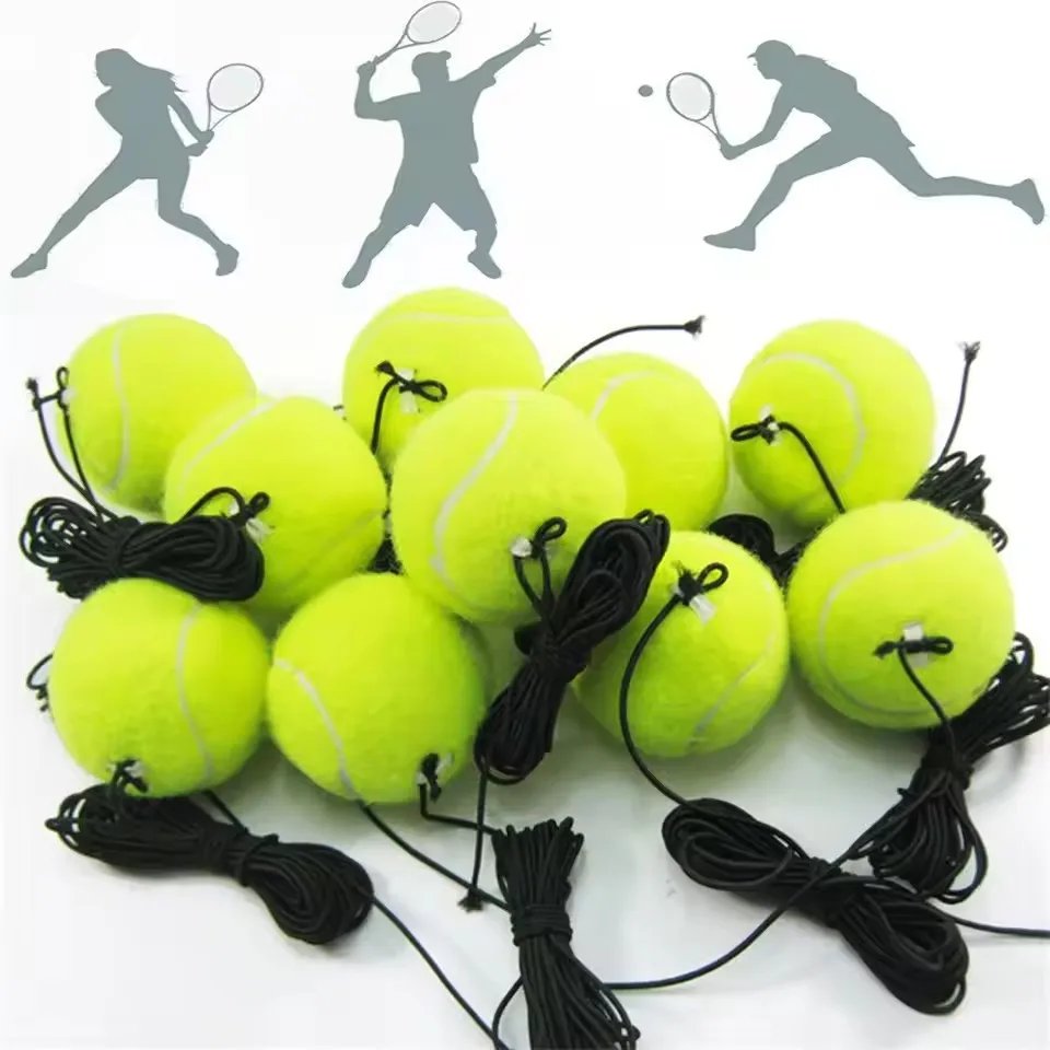 Professional Tennis Training P - đánh giá và giá Badminton Smash